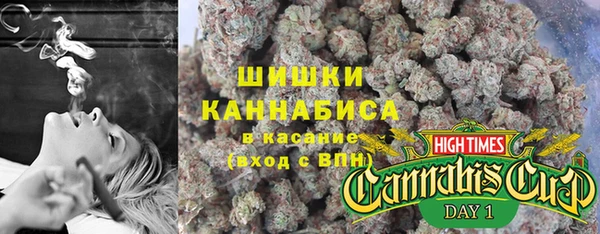 ПСИЛОЦИБИНОВЫЕ ГРИБЫ Арсеньев