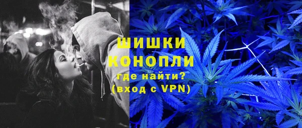 ПСИЛОЦИБИНОВЫЕ ГРИБЫ Арсеньев