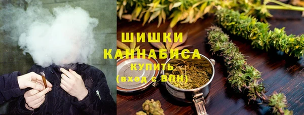 хмурый Алзамай