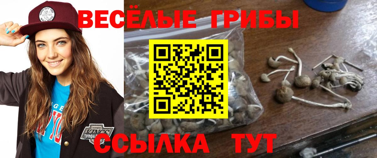 Галлюциногенные грибы ЛСД  наркота  Волхов  Вход с VPN 