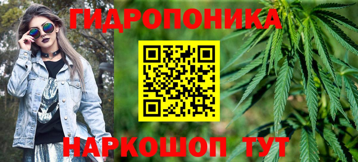 Конопля гибрид  Вход с VPN  Волхов  Конопля индика  Бошки Шишки семена 
